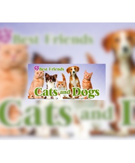 My Best Friends - Cats & Dogs Steam Key GLOBAL